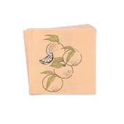 Napkin -Summer Time- 40pcs